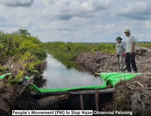 People’s Movement (PM) to Stop Haze Observasi Peluang Kemitraan Restorasi Gambut
