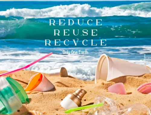 Reduce, Reuse, Recycle