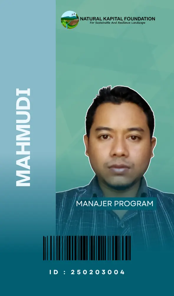 mahmudi