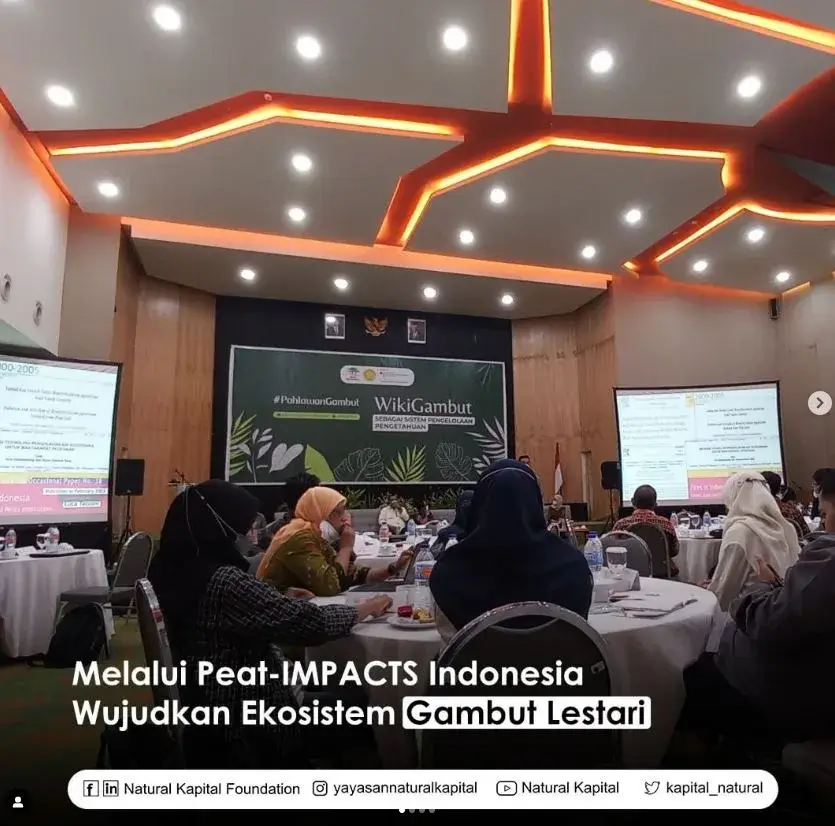 Melalui Peat-IMPACTS Indonesia Mewujudkan Ekosistem Gambut Lestari