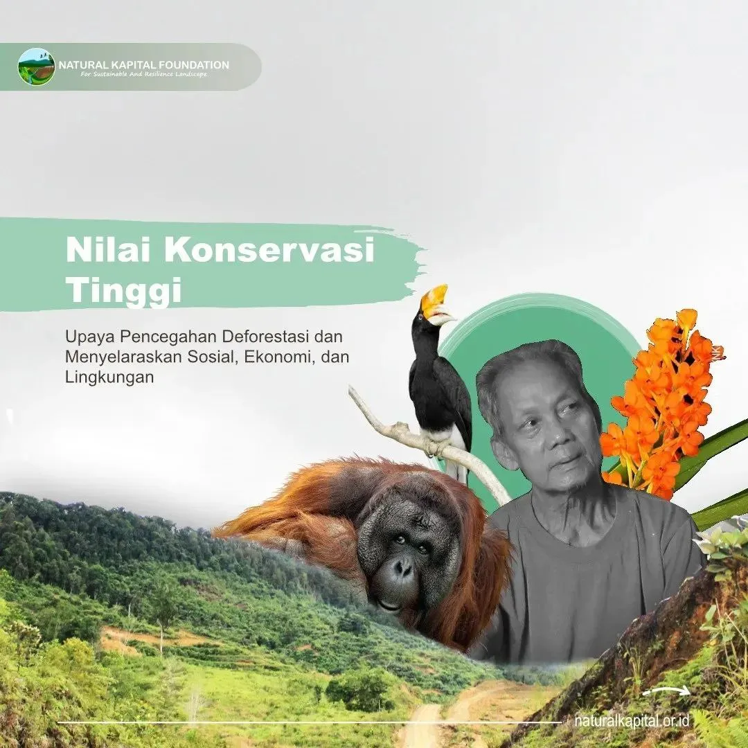 Nilai Tinggi Konservasi