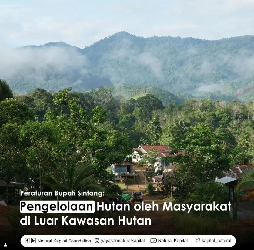 Pengelolaan Hutan oleh Masyarakat di Luar Kawasan Hutan