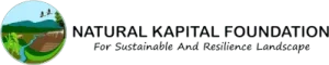 logo ynki
