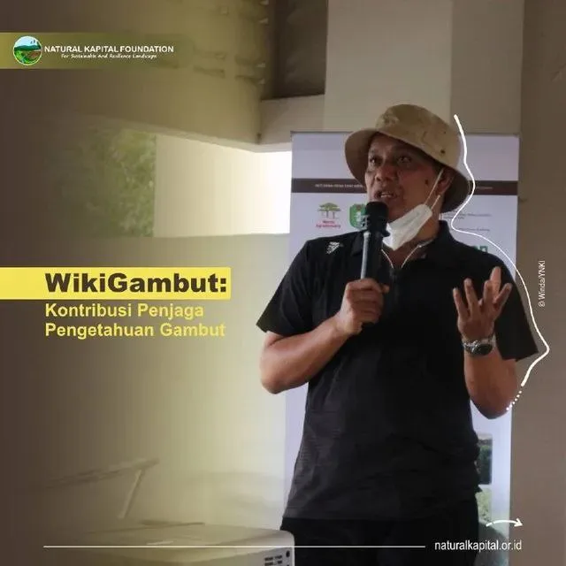 wiki gambut